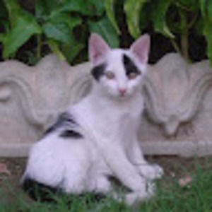 Meet your Posher, Sabrina